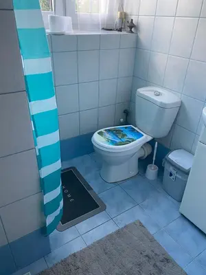 Łazienka w obiekcie Monika House