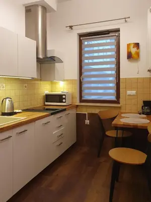 Kuchnia lub aneks kuchenny w obiekcie Chopin Apartments - Capital