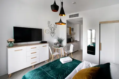 Telewizja i/lub zestaw kina domowego w obiekcie P&O Apartment Zachodni IV