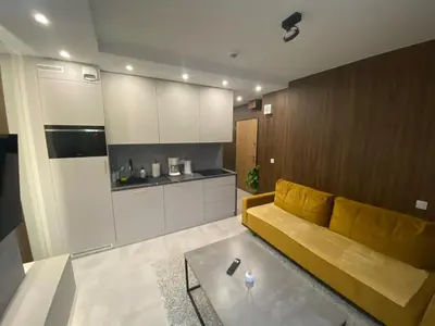 Kuchnia lub aneks kuchenny w obiekcie Modern Studio Bliska