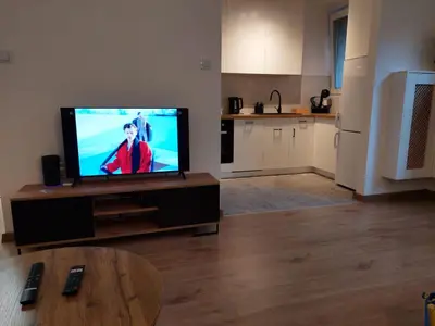 Telewizja i/lub zestaw kina domowego w obiekcie Cosy apartment Muranów
