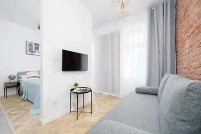 Telewizja i/lub zestaw kina domowego w obiekcie BK studio - cozy and modern close to National Stadium