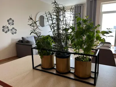 Plan piętra w obiekcie Apartament z widokiem na centrum i darmowym parkingiem