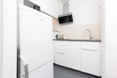 Kuchnia lub aneks kuchenny w obiekcie Apartments Warsaw Grzybowska by Noclegi Renters