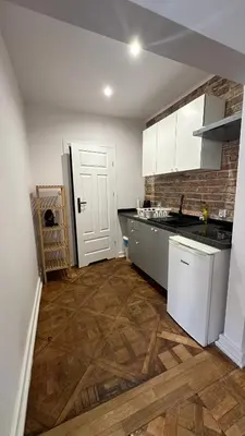 Kuchnia lub aneks kuchenny w obiekcie Kamienica Śródmieście Apartament 18A