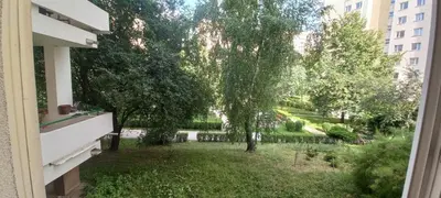 Ogród w obiekcie Cichy i przyjemny pokój na Muranowie