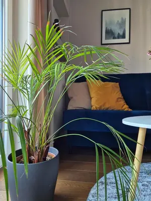 Część wypoczynkowa w obiekcie Art Lux Apartments - Dygata