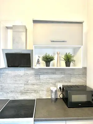 Kuchnia lub aneks kuchenny w obiekcie Nowy Swiat Prestige - Elegant 2-room Apartment in City Center