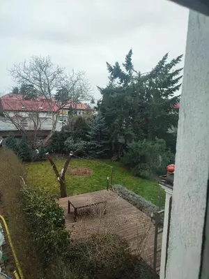 Ogród w obiekcie White house Warsaw Okęcie Cyprysowa 11