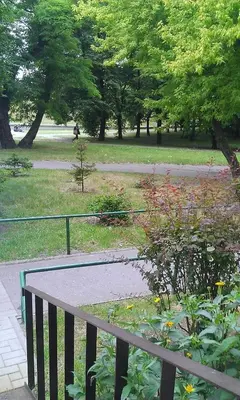 Ogród w obiekcie Apartament Dymińska
