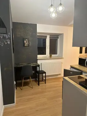 Kuchnia lub aneks kuchenny w obiekcie Stylowa Kawalerka z WiFi Praga Mińska 22 Blisko PGE Narodowego