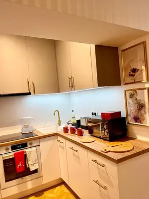 Kuchnia lub aneks kuchenny w obiekcie Apartament Flamingo Old Town