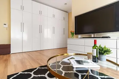 Telewizja i/lub zestaw kina domowego w obiekcie Luxury Apartment on Zlota Street