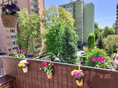 Ogród w obiekcie Cosy Apartment Zwycięzców Saska Kępa