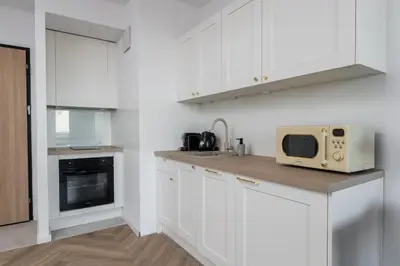 Kuchnia lub aneks kuchenny w obiekcie Blushline Apartment Wiktoryn AC Balcony