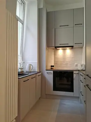 Kuchnia lub aneks kuchenny w obiekcie Varsovia Lux Suite