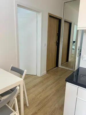 Kuchnia lub aneks kuchenny w obiekcie Mei Apartment near Chopin Airport Warsaw