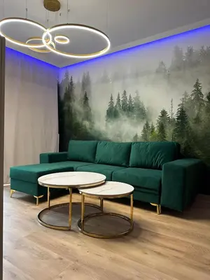 Część wypoczynkowa w obiekcie Golden Forest Apartment