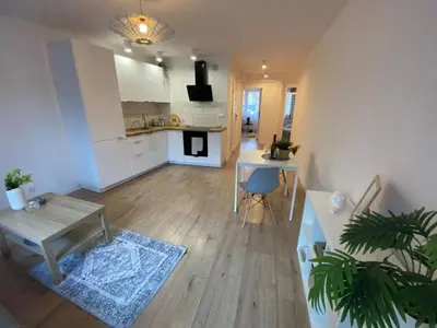 Kuchnia lub aneks kuchenny w obiekcie Apartament na Kruczej