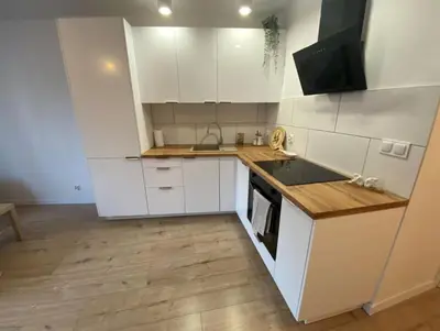 Kuchnia lub aneks kuchenny w obiekcie Apartament na Kruczej