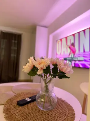 Telewizja i/lub zestaw kina domowego w obiekcie DeLuxury Apartment Chmielna