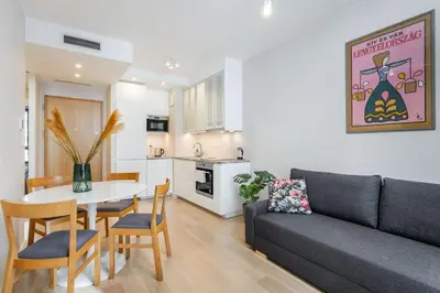 Kuchnia lub aneks kuchenny w obiekcie Mint Premium Apartment With AC City Center