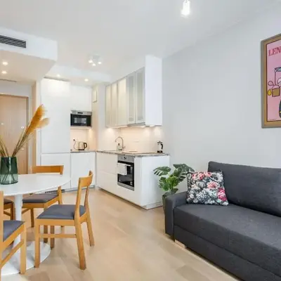 Mint Premium Apartment With AC City Center
