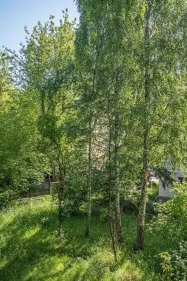 Przyroda w pobliżu tego apartamentu