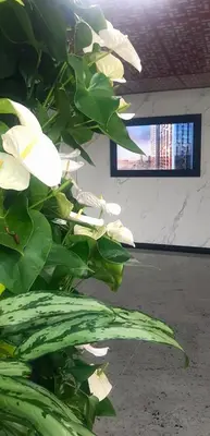 Telewizja i/lub zestaw kina domowego w obiekcie K&M Apartments Towarowa Tower