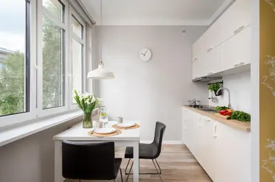 Kuchnia lub aneks kuchenny w obiekcie Green Courtyard Studio in Pre-War Tenement House 1 km to Central Station, easy trip to Chopin Airport