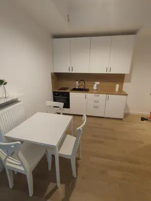 Kuchnia lub aneks kuchenny w obiekcie 2-pokojowy Apartament Centrum