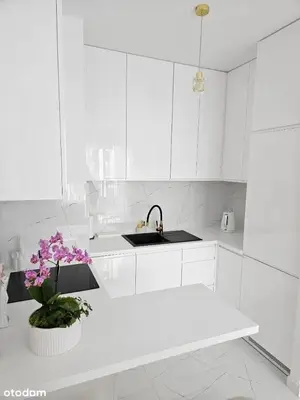 Kuchnia lub aneks kuchenny w obiekcie Luxury building & apartament, near metro, parking
