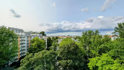 Przyroda w pobliżu tego apartamentu