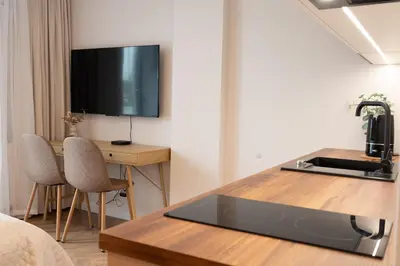 Telewizja i/lub zestaw kina domowego w obiekcie Rose Studio Ursynow King Bed Terrace