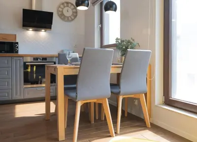 Kuchnia lub aneks kuchenny w obiekcie Venti Wilanow 2 Bedrooms Terrace AC Parking
