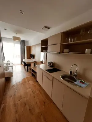 Kuchnia lub aneks kuchenny w obiekcie Warsoliv Apartamenty