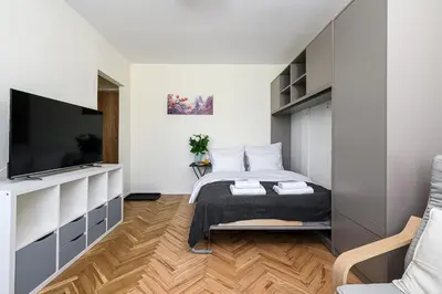 Telewizja i/lub zestaw kina domowego w obiekcie P&O Apartments Bonifraterska