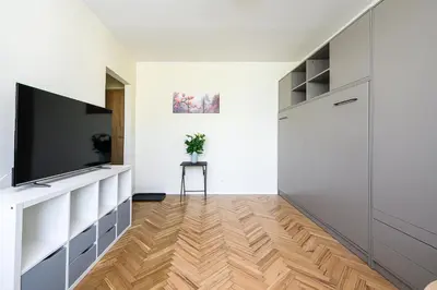 Telewizja i/lub zestaw kina domowego w obiekcie P&O Apartments Bonifraterska