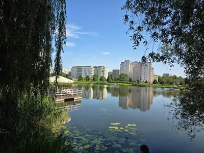 Widok na rzekę nieopodal tego apartamentu
