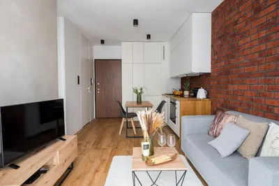 Telewizja i/lub zestaw kina domowego w obiekcie Superb Loft Studio in charming Praga District, 300 m to Metro & 100 m to tram, balcony