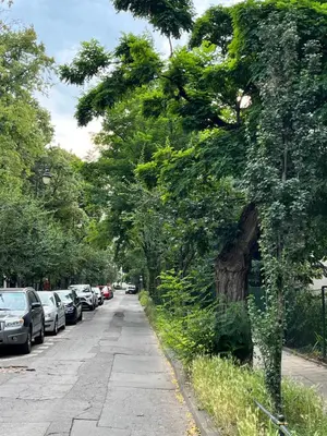 Plan piętra w obiekcie Prestige Apartment - Saska Kępa