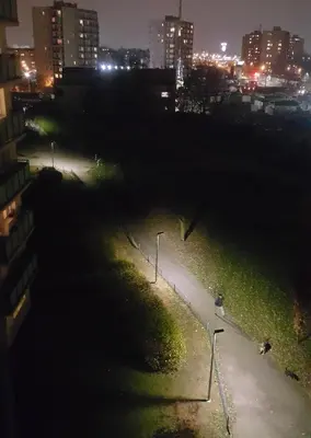 Okolica w pobliżu tego apartamentu