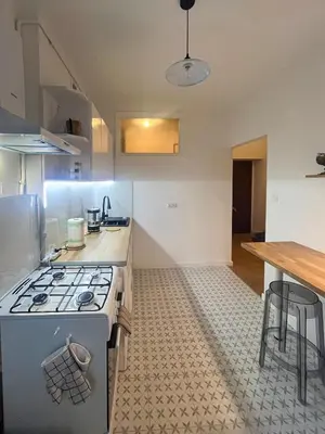 Kuchnia lub aneks kuchenny w obiekcie Paryska Apartament