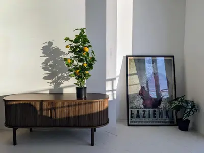 Telewizja i/lub zestaw kina domowego w obiekcie Royal Gardens Panorama Apartment by Cooee