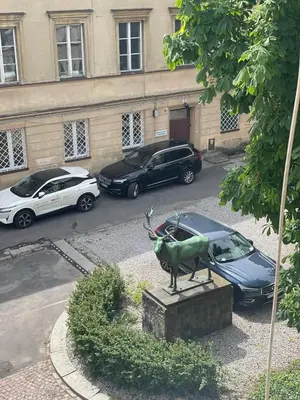 Plan piętra w obiekcie Nowy Świat - Centrum, Stare Miasto ,Atrakcje na krok