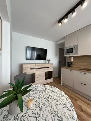 Kuchnia lub aneks kuchenny w obiekcie Apartament Arkadia 2