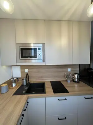 Kuchnia lub aneks kuchenny w obiekcie Apartament Arkadia