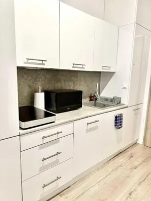 Kuchnia lub aneks kuchenny w obiekcie Airport Apartment Okęcie