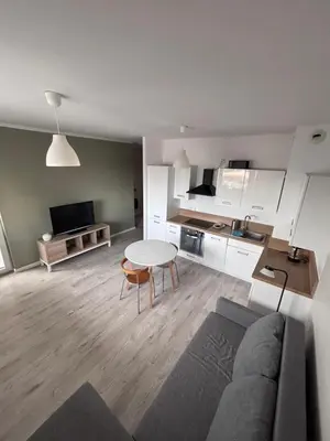 Telewizja i/lub zestaw kina domowego w obiekcie Oliwkowy Apartament Hennela