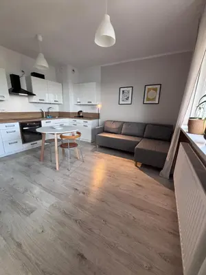 Kuchnia lub aneks kuchenny w obiekcie Oliwkowy Apartament Hennela
